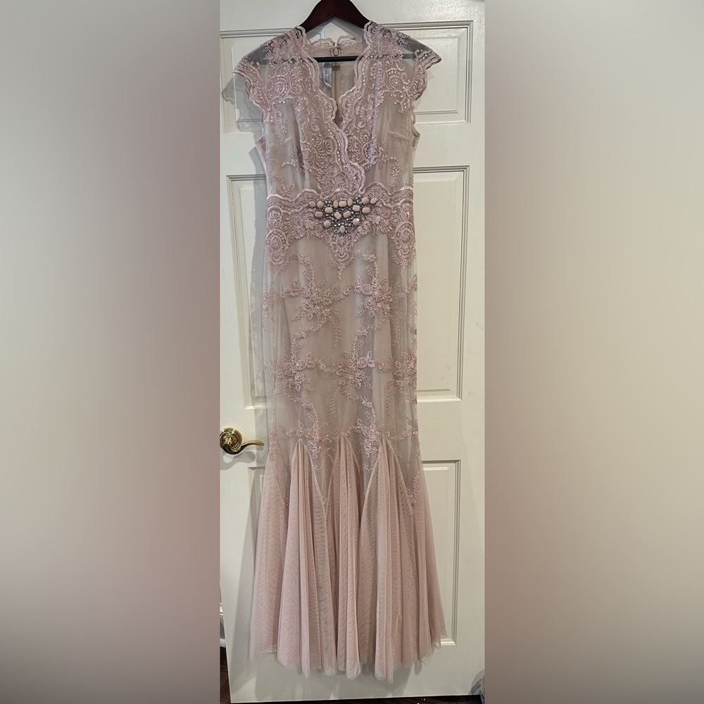 Teri Jon Blush Lace Gown